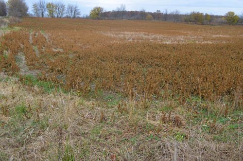Property photo 24 - 80 Acres & Home - Property Offered in 4 Tracts from 2.3 to 30.0 Acres